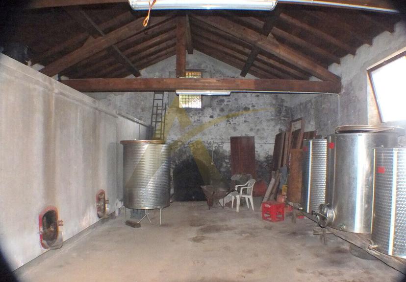 Rustico, Velletri