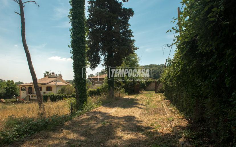 Villa, Fiumicino — foto 2 di 5