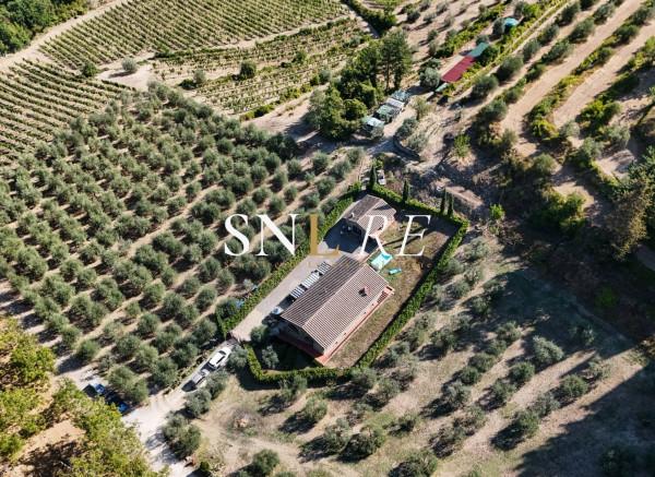 Casale in Case Sparse, Greve in Chianti — foto 3 di 5