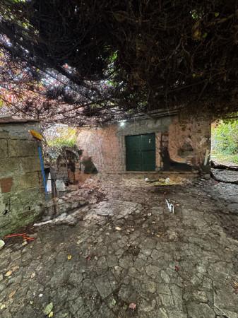 Rustico in Via Cancellata Grande, Zagarolo — foto 5 di 5