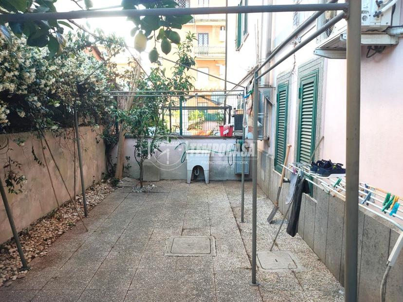 Monolocale, Roma