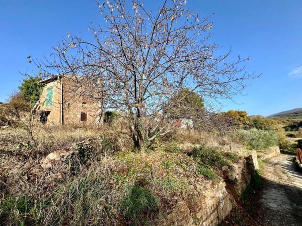 Rustico in Via di Colle Spina, Poli — foto 4 di 5