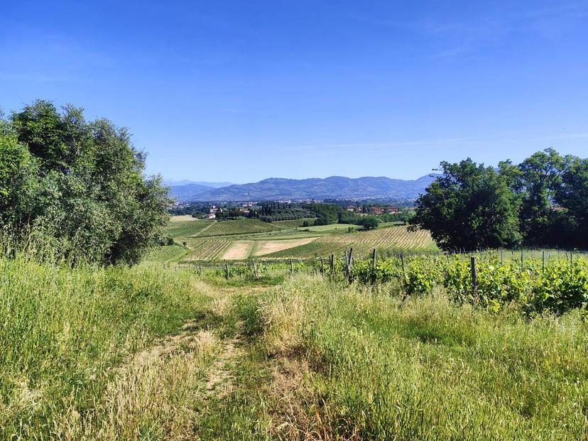 Casale, Cerreto Guidi — foto 4 di 5