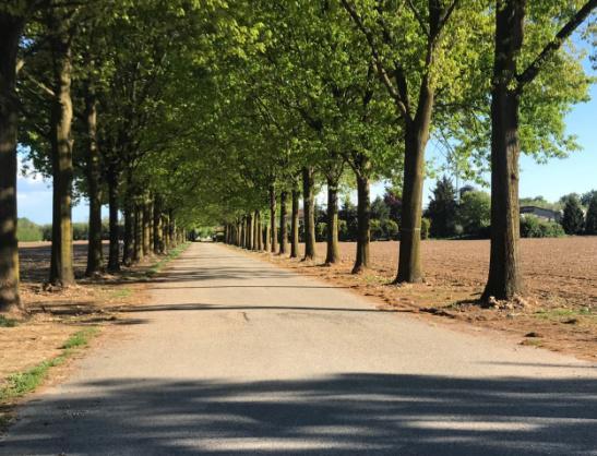 Villa in Cascina Cornarina, Castano Primo — foto 4 di 5