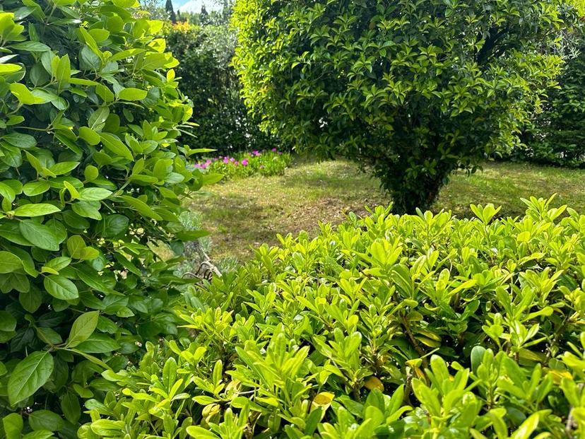 Villa, Cerreto Guidi — foto 3 di 5