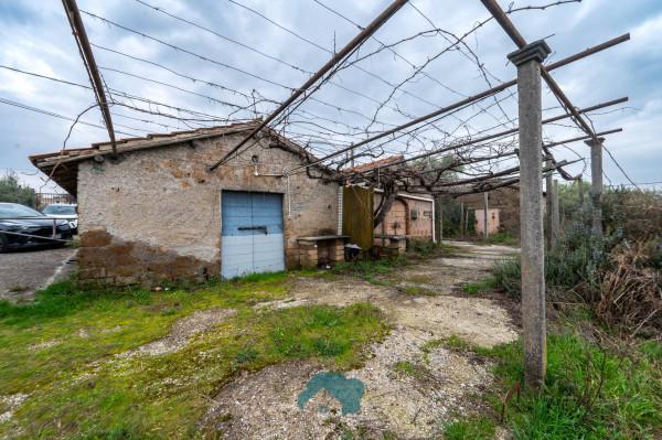 Rustico in Via Colle Caroso, Palestrina — foto 4 di 5