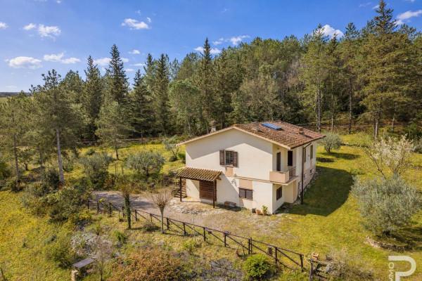 Villa in Strada Provinciale di San Donato in Poggio, Barberino Tavarnelle