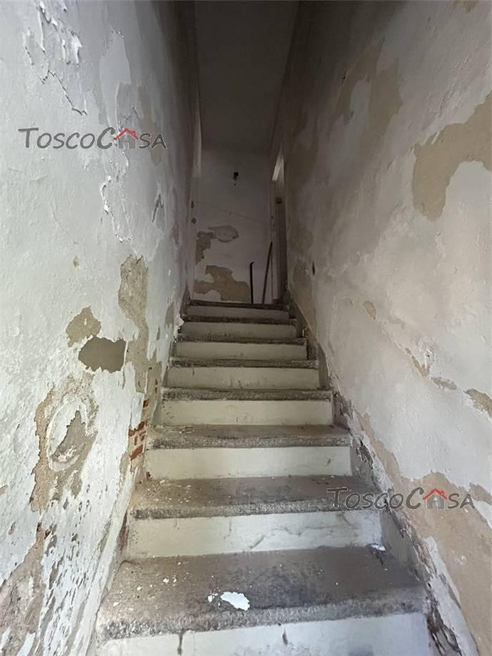 Terratetto, Fucecchio — foto 5 di 5