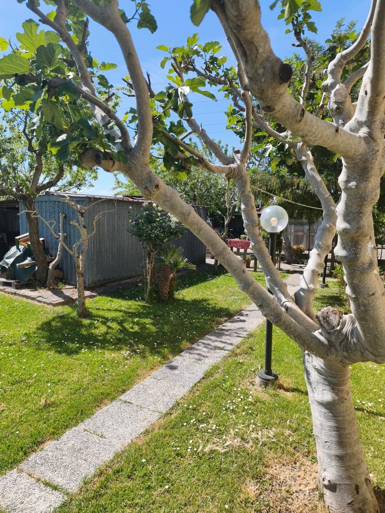 Casa indipendente in Via Bardazzi 46, Signa — foto 4 di 5