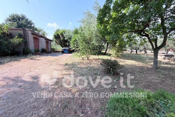 Terratetto unifamiliare in Via di Contrada San Antonio 2, Velletri — foto 4 di 4