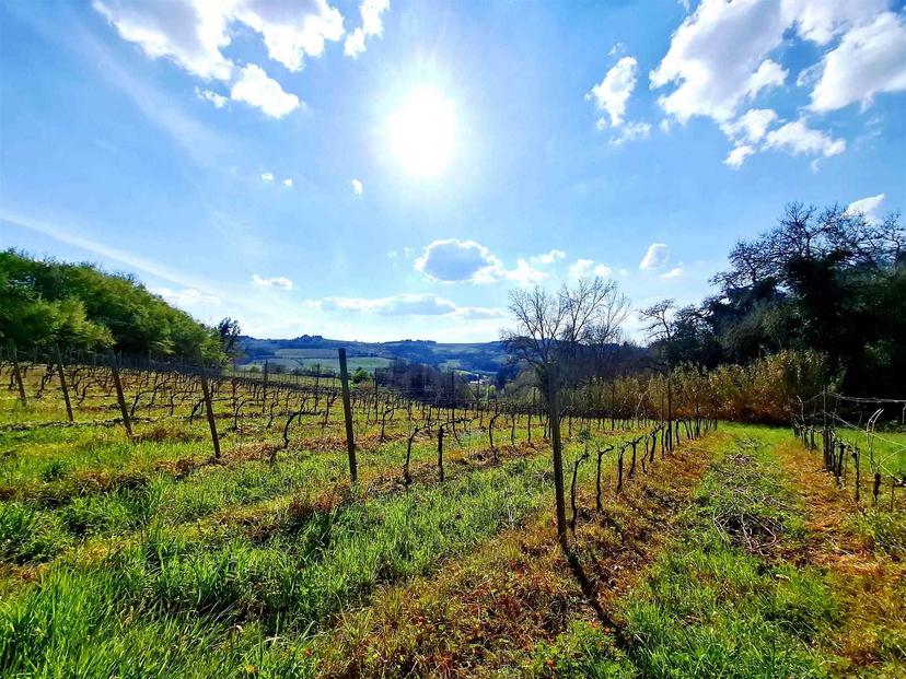 Casale, Montespertoli — foto 5 di 5
