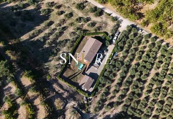 Casale in Case Sparse, Greve in Chianti — foto 5 di 5