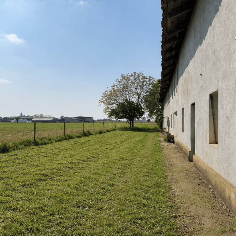 Cascina in Scalenghe Regione Colletrale 36, Scalenghe — foto 5 di 5