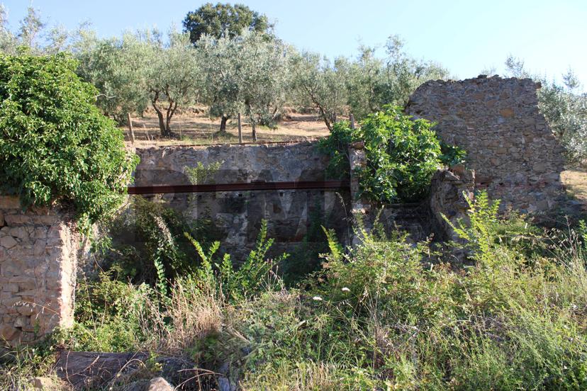 Rustico, Vinci