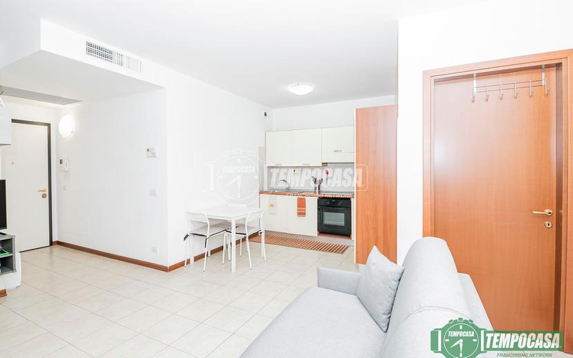 Monolocale in Viale Martesana 111, Vimodrone — foto 5 di 5