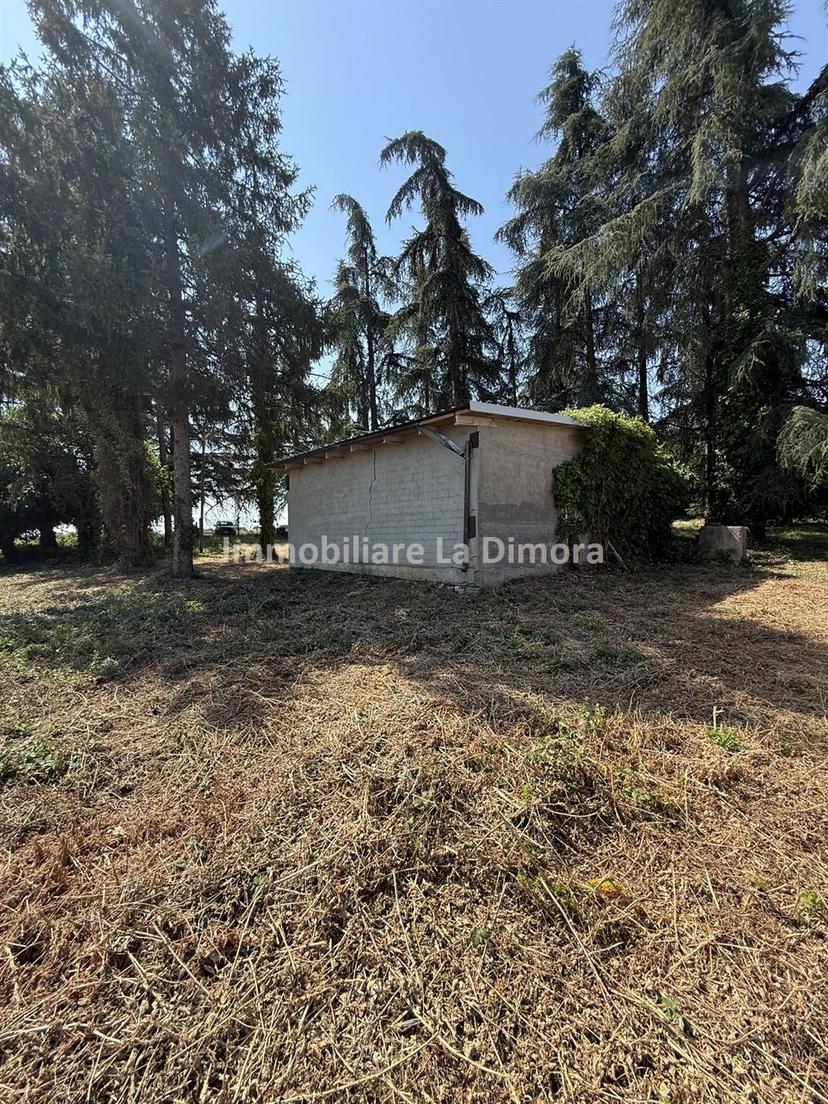 Casa indipendente, Imola — foto 2 di 5