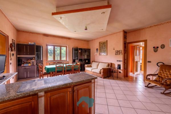 Villa in Via Colle Collecchie, Zagarolo — foto 4 di 5