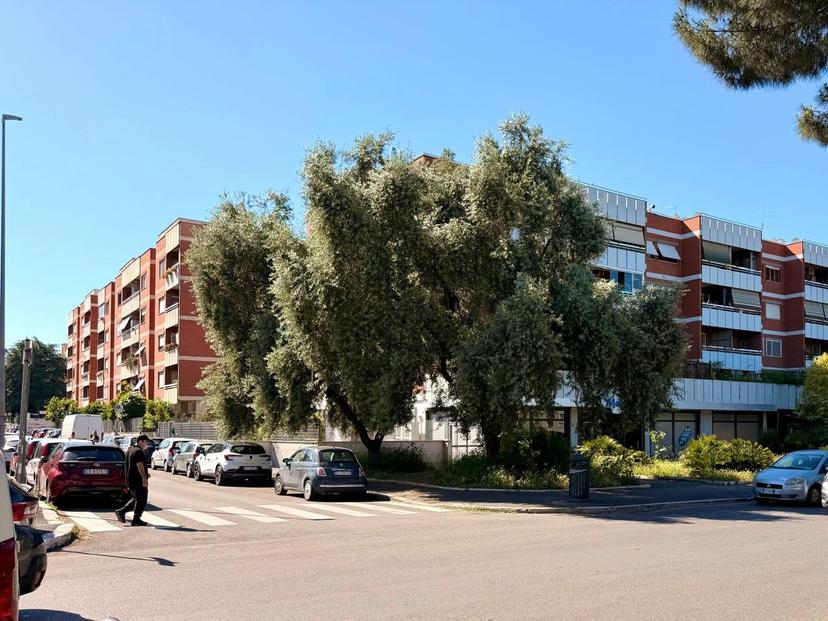 Quadrilocale in Via dell'Arco di Travertino  31, Roma