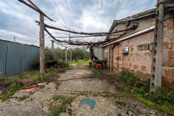 Rustico in Via Colle Caroso, Palestrina — foto 3 di 5