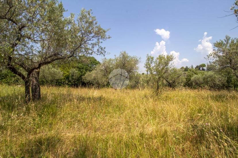 Rustico in Str. di Rotavello, Palombara Sabina — foto 3 di 5