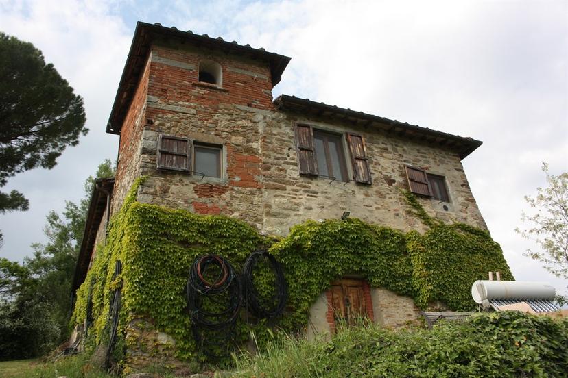 Casa indipendente, Pelago