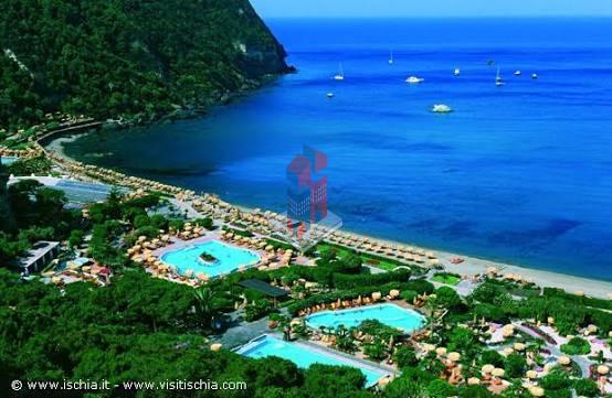 Trilocale in Ischia - Multiproprieta' a Forio - Villa Gilda, Forio — foto 5 di 5