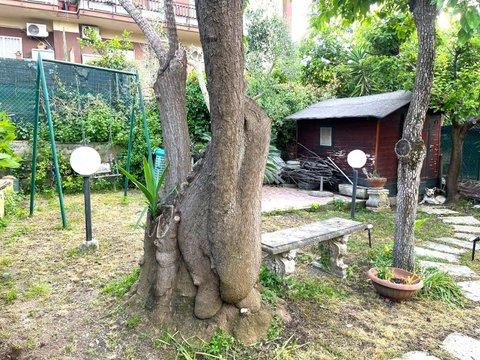 Trilocale in Via Sarsina, Vitinia, Roma