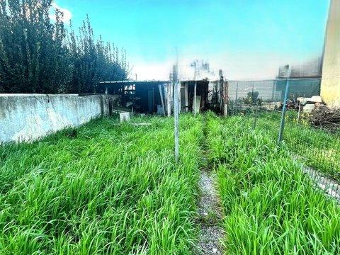 Trilocale a Torricella, Campi Bisenzio