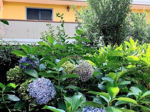 Appartamento su due piani in Via Domenico Petochi, 3, Squarciarelli - Casalaccio - Pratone, Grottaferrata