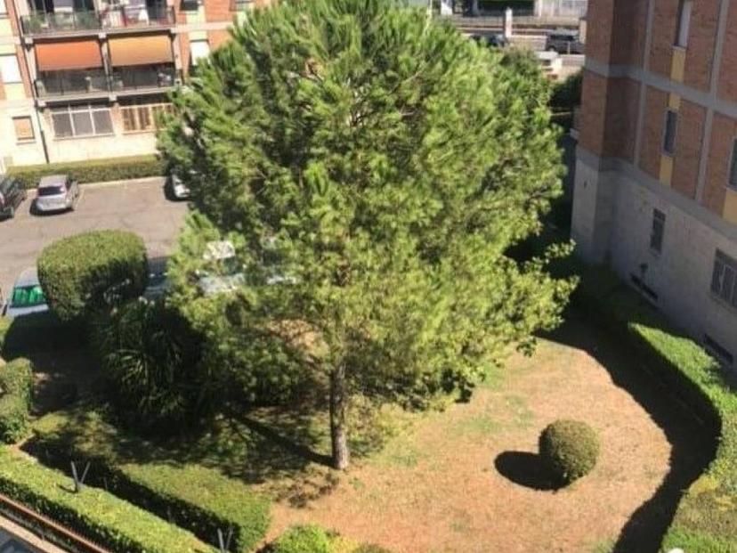 Quadrilocale via Angiolo Cassioli 150, Alessandrino - Torre Spaccata, Roma
