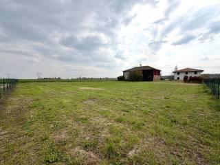 Rustico via Armarolo 1, Minerbio — foto 25 di 44