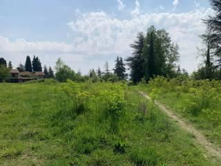 Casa colonica via Tizzano, Ceretolo, Casalecchio di Reno — foto 22 di 22