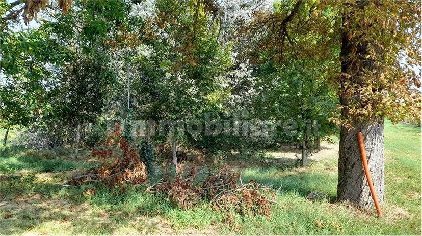 Rustico via  Provanone, Crevalcore — foto 5 di 16