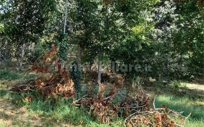 Rustico via  Provanone, Crevalcore — foto 16 di 16