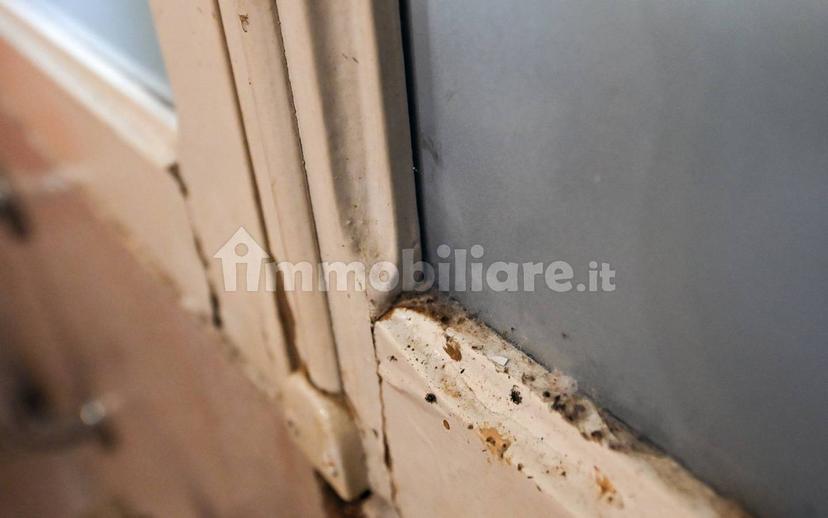 Villa unifamiliare via delle Organe 355, Crevalcore — foto 15 di 36