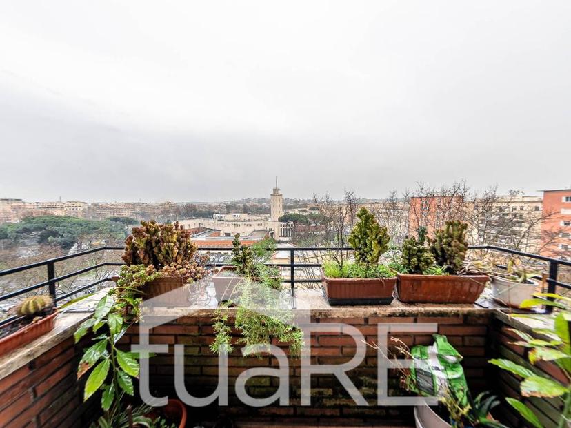 Vendita appartamento Lungotevere Della Vittoria Roma (RM)