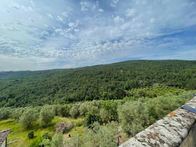 Vendita appartamento via Santa Zanobi 1 Scandicci (FI)