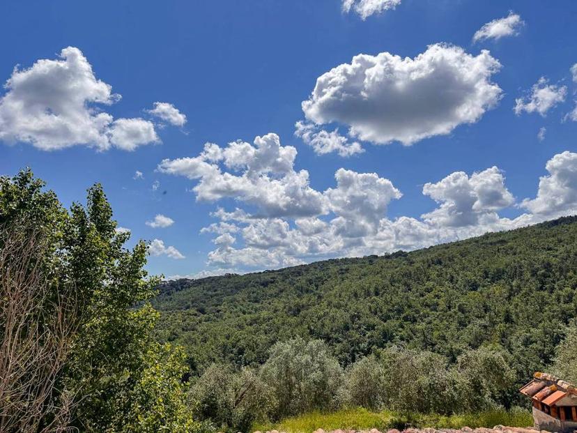 Vendita appartamento via Santa Zanobi 1 Scandicci (FI)
