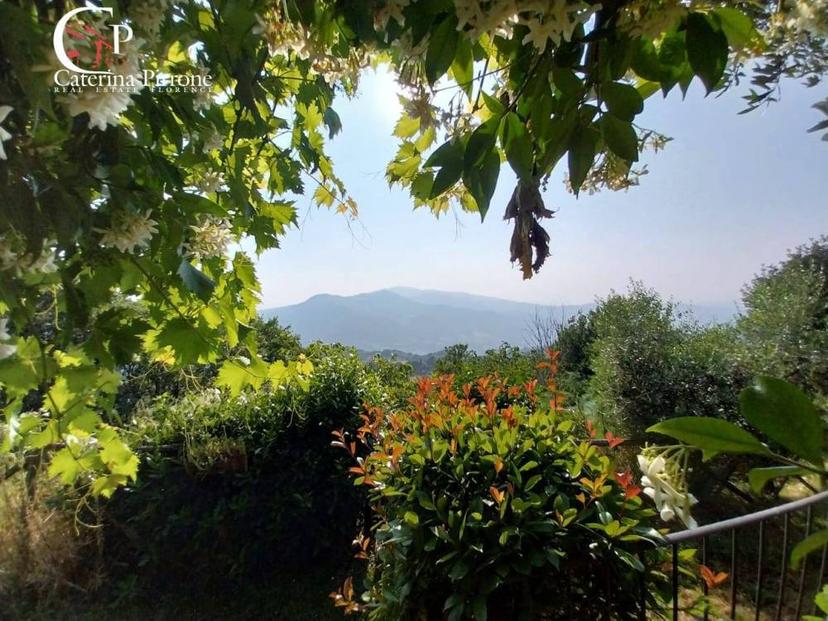 Vendita appartamento via Frascole 1 Dicomano (FI)