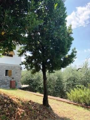 Vendita appartamento VIA DI CERLIANO 1 Scarperia e San Piero (FI)